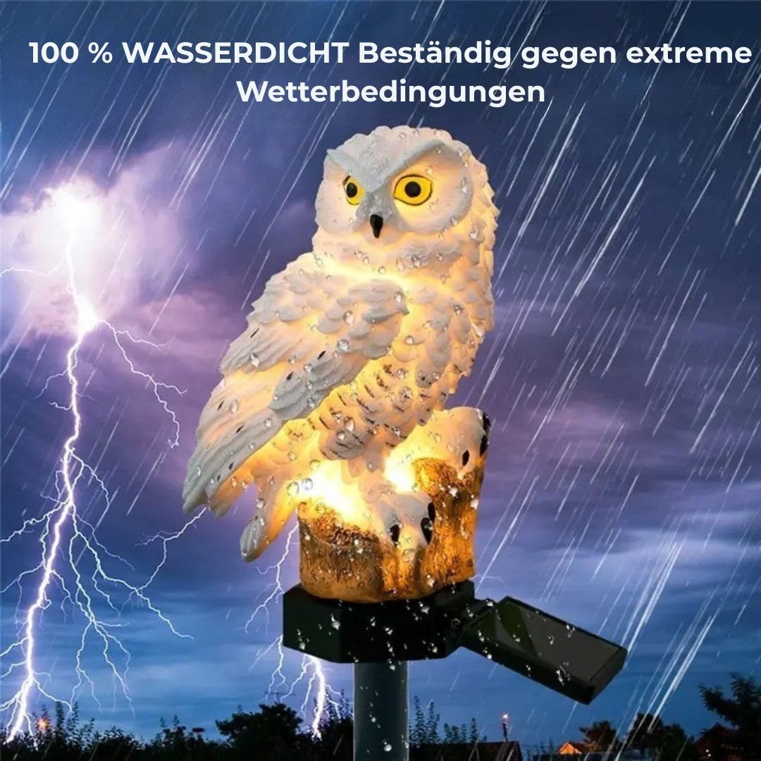 Solar-LED-Eule MagicNight