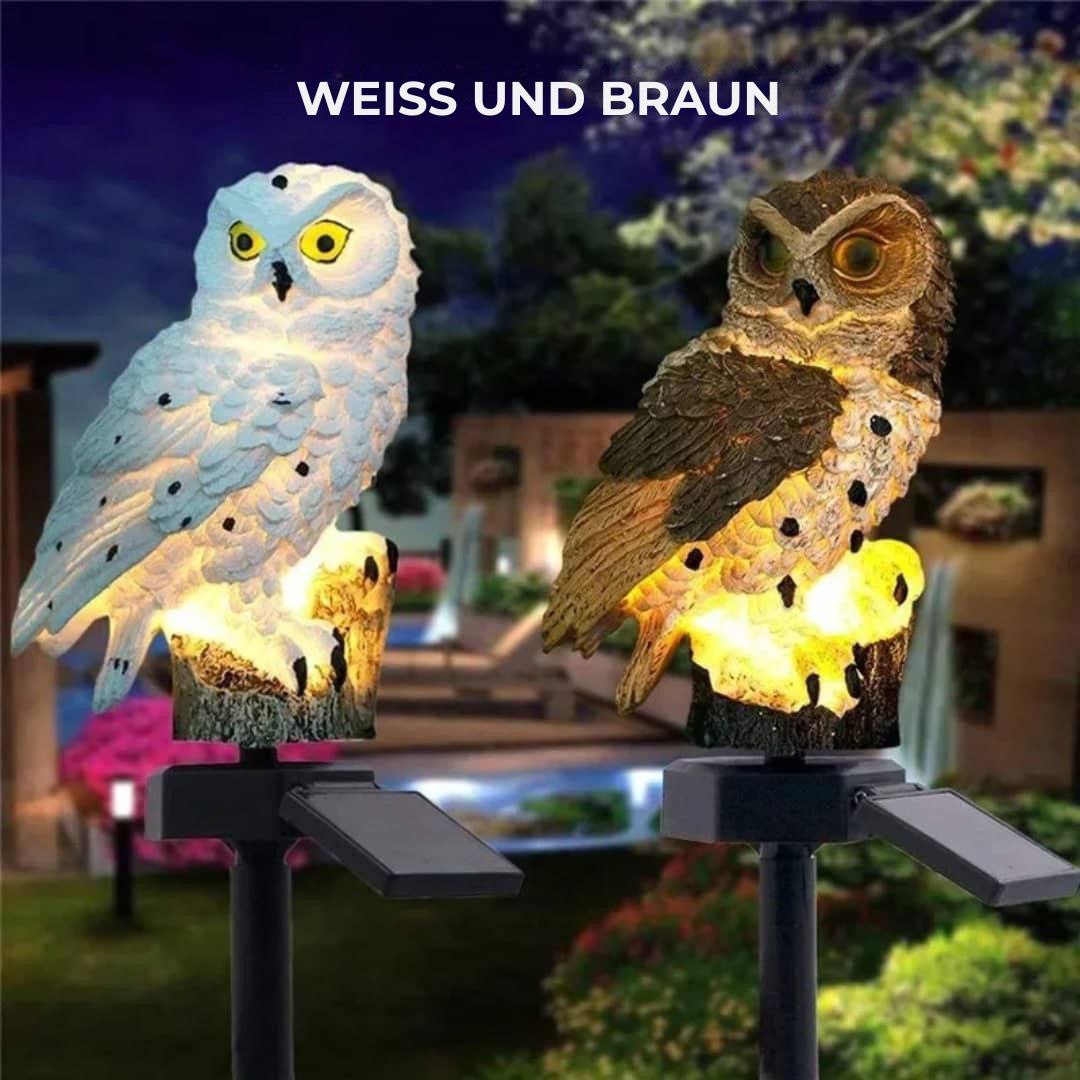 Solar-LED-Eule MagicNight